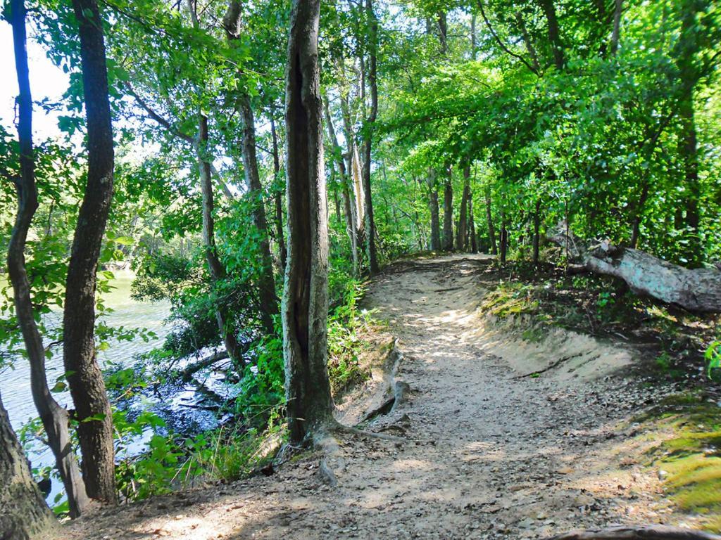 Private Boho Bungalow 10 Minutes To Downtown Rva! ริชมอนด์ ภายนอก รูปภาพ